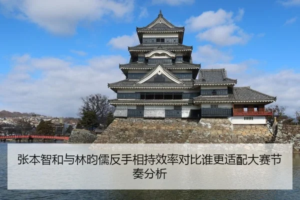 张本智和与林昀儒反手相持效率对比谁更适配大赛节奏分析（Kaiyun Sports）