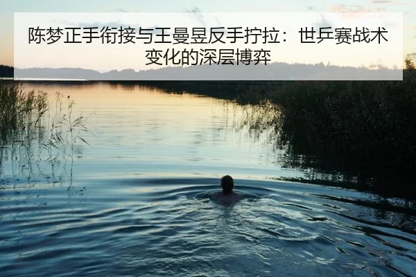 chen-meng-zheng-shou-xian-jie-yu-wang-man-yu-fan-shou-ning-la-shi-ping-sai-zhan-shu-bian-hua-de-shen-ceng-bo-yi-3-470.jpg