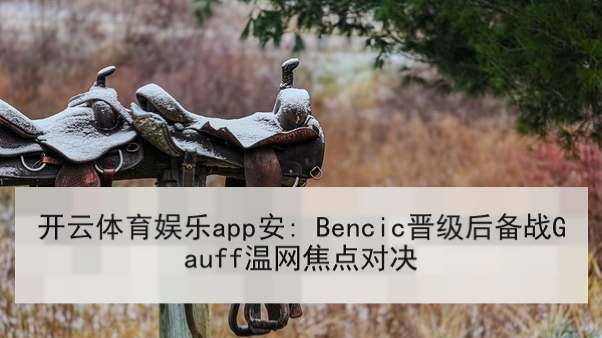 开云体育娱乐app安: Bencic晋级后备战Gauff温网焦点对决