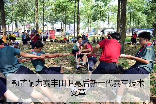 勒芒耐力赛丰田卫冕后新一代赛车技术变革