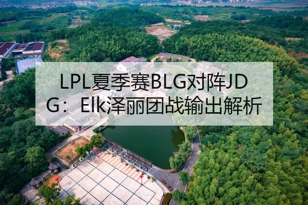 LPL夏季赛BLG对阵JDG：Elk泽丽团战输出解析