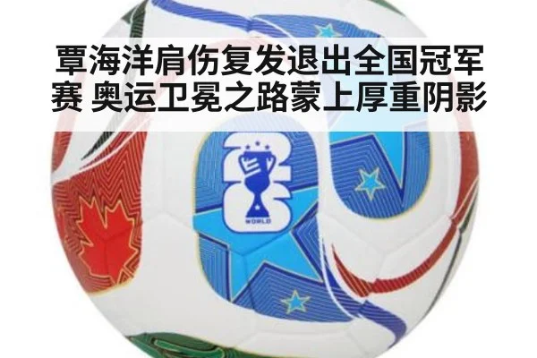 覃海洋肩伤复发退出全国冠军赛 奥运卫冕之路蒙上厚重阴影